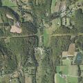 Tree blocking Bunnell Road in Auburn Township