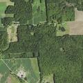 Man has allergic reaction to bee sting in Cambridge Springs
