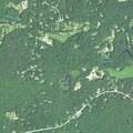 Person with head injury near Flat River Road