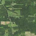 Assault victim reported on Wing Road