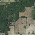 Juvenile ran into woods near a school after traffic incident