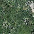 Male out of control near Mountain Dale Road in Ellenville