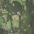 Tree blocks both lanes on State Route 3023