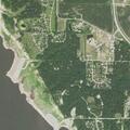 Person unconscious after dog bite and head injury