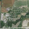 Loose golden retriever reported in neighborhood