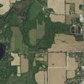 Deer struck in roadway near Orland