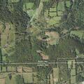 77-year-old woman falls with head and limb injuries