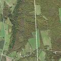 Elderly woman falls near State Route 371 in Herrick Township
