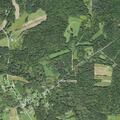 Elderly man with altered mental status at Townville residence