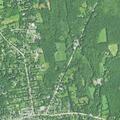 Female found unconscious near East Street, Litchfield