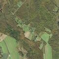 73-year-old female altered near Airport Drive in Hart Township