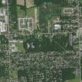 Welfare check for elderly woman with dementia