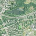 Adult pregnant female reported near Smith Drive