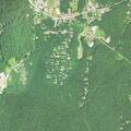 Car rolls over driver’s foot in driveway crash