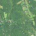 Person fell near Milton Road in Litchfield