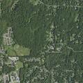 9-year-old girl having difficulty breathing in Hyde Park