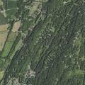 22-year-old male having seizure at Lake Lodge Drive