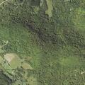 Person having a seizure near Irons Hollow in Smethport