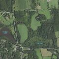93-year-old female public assist at Millbrook location