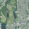 85-year-old female unable to see at Church Street