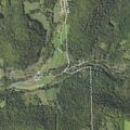 Tree blocking lane on PA Route 706 in Rush Township