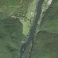 Tree blocking roadway on Dunzetti Road