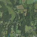 Woman has leg infection in Millbrook