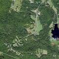 89-year-old female fall victim with head injury