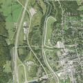 Complaint about loose dog on North Main Street