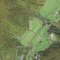 Man conscious with heart racing near Port Allegany