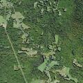 Man having mental health crisis near Grahamsville
