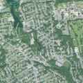 Female detected after fall near Cedar Hill Road