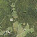 Brush fire near Tree Lake in Susquehanna County