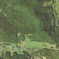 Woman falls from horse near Pierce Brook Road in Smethport