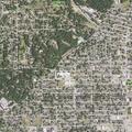 Group of juveniles reported harassing a woman near 4th Ave S