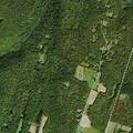 82-year-old female fall victim near Cattail Road