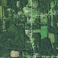81-year-old male reported ill at Gageville Monroe Road