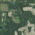 Report of vehicle running over woman’s foot