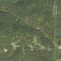 Person experiencing chest pain at campgrounds