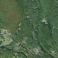 Woman nauseous and confused near Dewitt Road