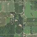 Concerns about dogs on Sycamore Drive property