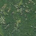 Attempted theft of service at Woodland Road campground
