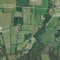 Injured deer and car debris blocking roadway