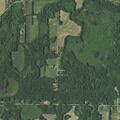 Domestic dispute with child present near Day Lake Rd
