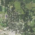 Two children stuck in a tree at residential address