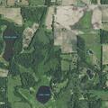 Tree down on power lines on Madron Lake Road