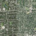 Person reported sick near Cottage Avenue in Glen Ellyn
