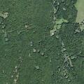 97-year-old woman fallen near Stone Ridge