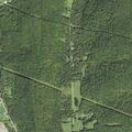 76-year-old male with abdominal pain near Pittsfield