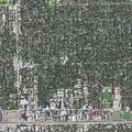 Sick person needs removal near North Grove Avenue